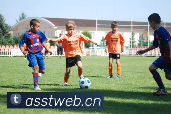 半岛官网在线登陆品牌故事